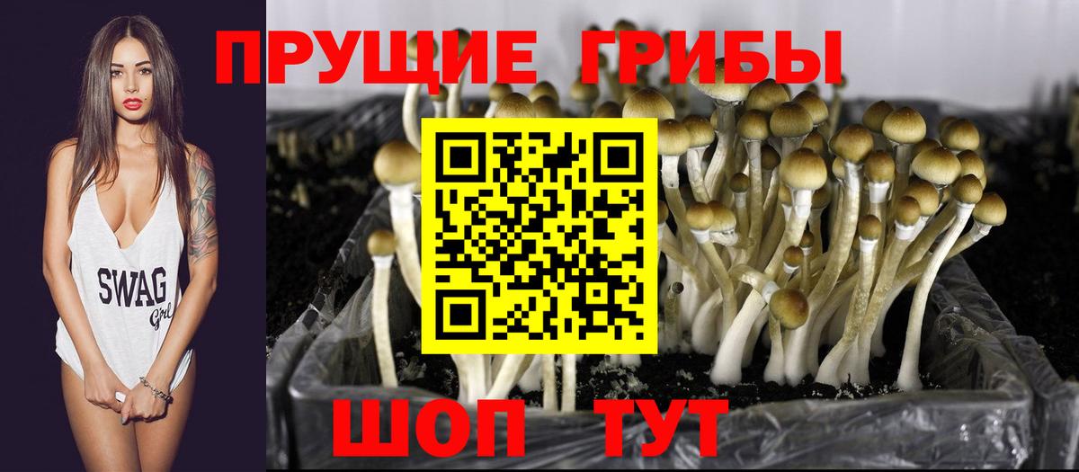 Псилоцибиновые грибы Psilocybine cubensis  Вход с VPN  Набережные Челны 